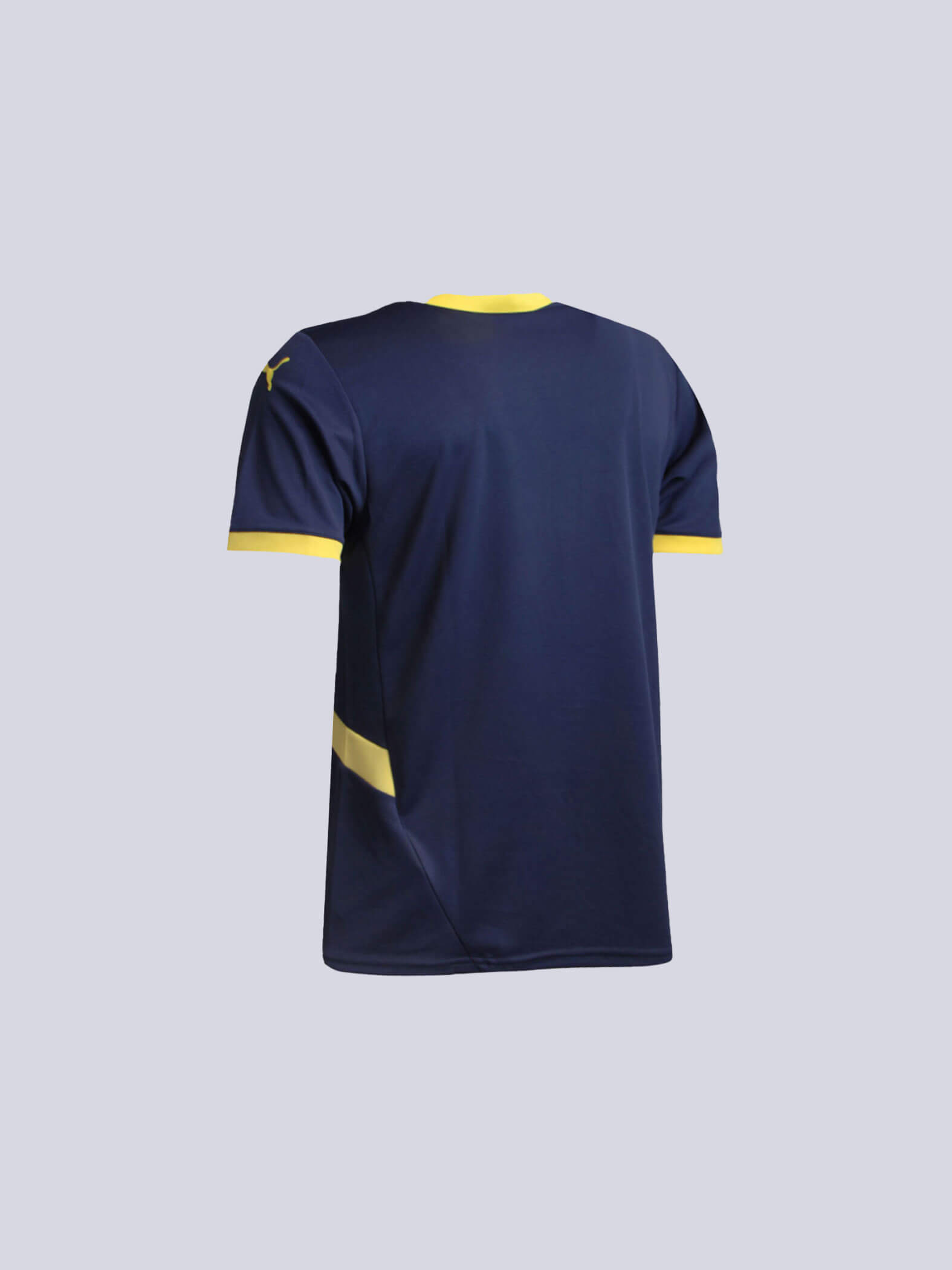 Fenerbahçe 2024 Özel Jr. Forma_2