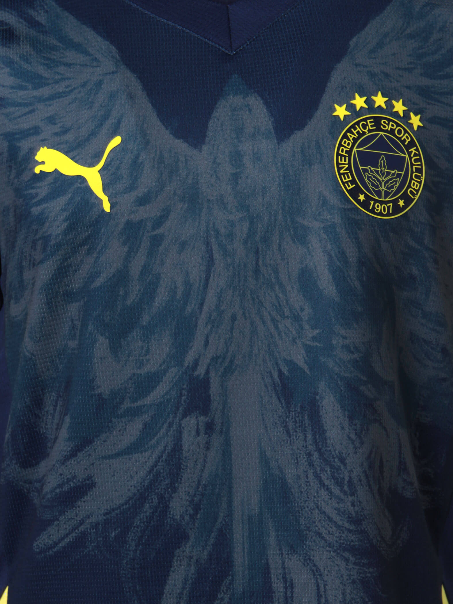 Fenerbahçe 2024 Özel Jr. Forma_3