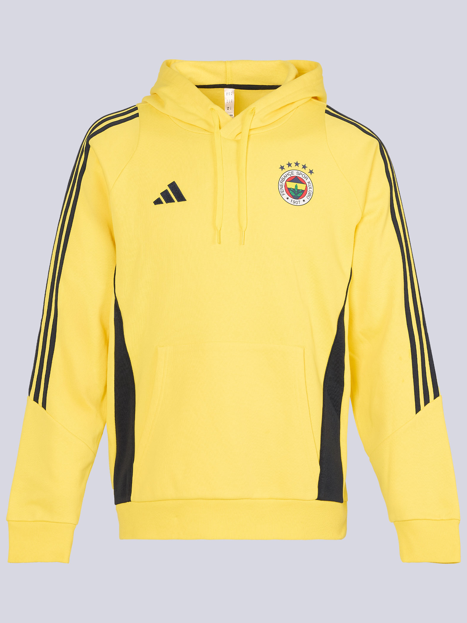 Fenerbahçe 2025/26 A Takım Sarı Hoody