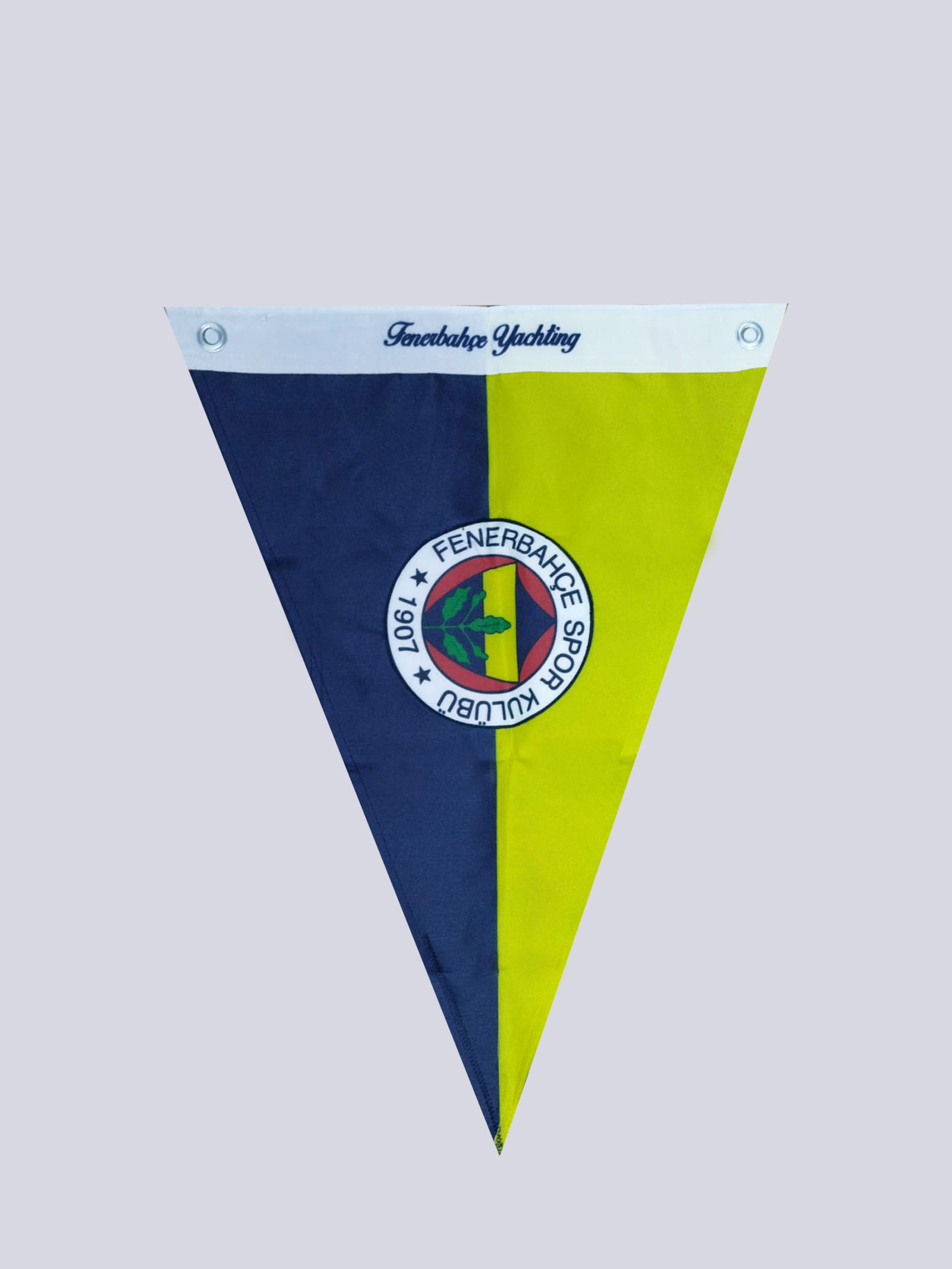 Sarı