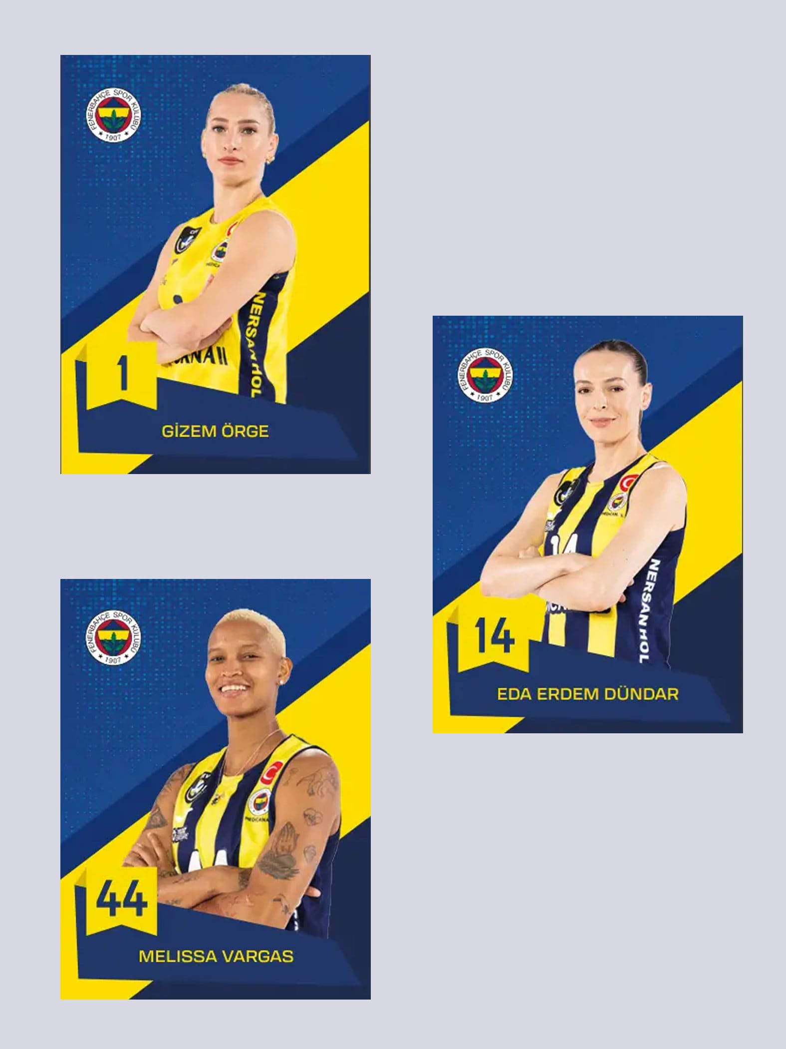 Fenerbahçe 2024-2025 Voleybol Kart Seri Kutu_1